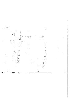 Výřez katastrální mapy obsahující parcelní čísla: 1207/336, 1207/335, 1207/334, 1207/333, 1207/332, 1207/331, 1207/330, 1207/329, 1207/328, 1207/327, 1207/326,…