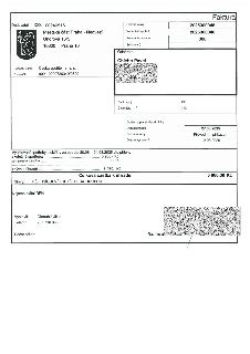 Faktura č. 2025300046, variabilní symbol 2025300046, konstantní symbol 308. Dodavatel: Městská část Praha - Nedvězí, Únorová 15/3, 10300 Praha 10, IČO: 0024051…