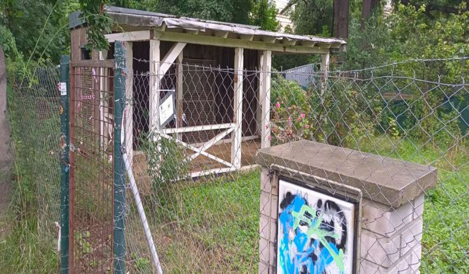 Fotografie pozemku s dřevěnou stavbou a oplocením.