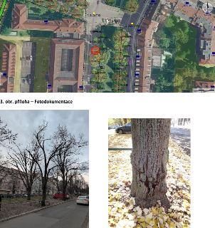 Dokument obsahuje situační mapu s vyznačenými stromy (zelené kruhy) a parcelními čísly (např. 550/1, 570, 4276/1, NN1367, 2 340 000, 2 320 014). Dále obsahuje…