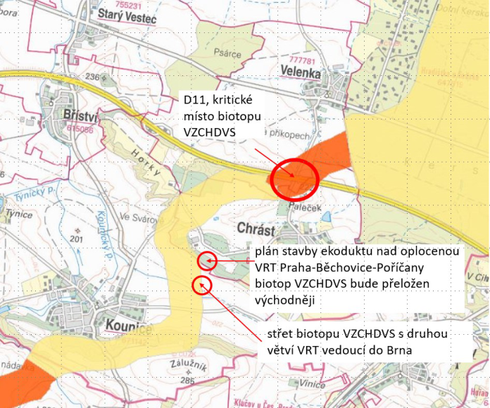 Mapa území v okolí obcí Starý Vestec, Velenka, Bříství, Chrást a Kounice s vyznačenými infrastrukturními projekty a biotopy. Textové popisky v mapě: 1) 'D11, kritické místo biotopu VZCHDVS' (ukazuje na červeně zakroužkovanou oblast u dálnice D11). 2) 'plán stavby ekoduktu nad oplocenou VRT Praha-Běchovice-Poříčany, biotop VZCHDVS bude přeložen východněji' (ukazuje na oblast u Chrástu). 3) 'střet biotopu VZCHDVS s druhou větví VRT vedoucí do Brna' (ukazuje na oblast jižněji u Kounic). V mapě jsou dále uvedeny názvy obcí: Starý Vestec, Velenka, Bříství, Chrást, Kounice, Zálužník, Vinice a místní názvy jako Horky, Týnice, Ve Svároy, Paleček.