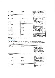 Tabulka s časovým rozpisem prací. První část tabulky: 10. 2. 2026 (8 hodin) - Vyhledávání a otevírání detailů faktur v programu GINIS; 11. 2. 2026 (8 hodin) -…