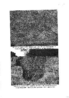 Dvě fotografie detailů poškození omítek na zadní straně kaple č. XXIX (Svatokřížská) v Praze-Vinoři, která je součástí někdejší poutní cesty z Prahy do Staré B…