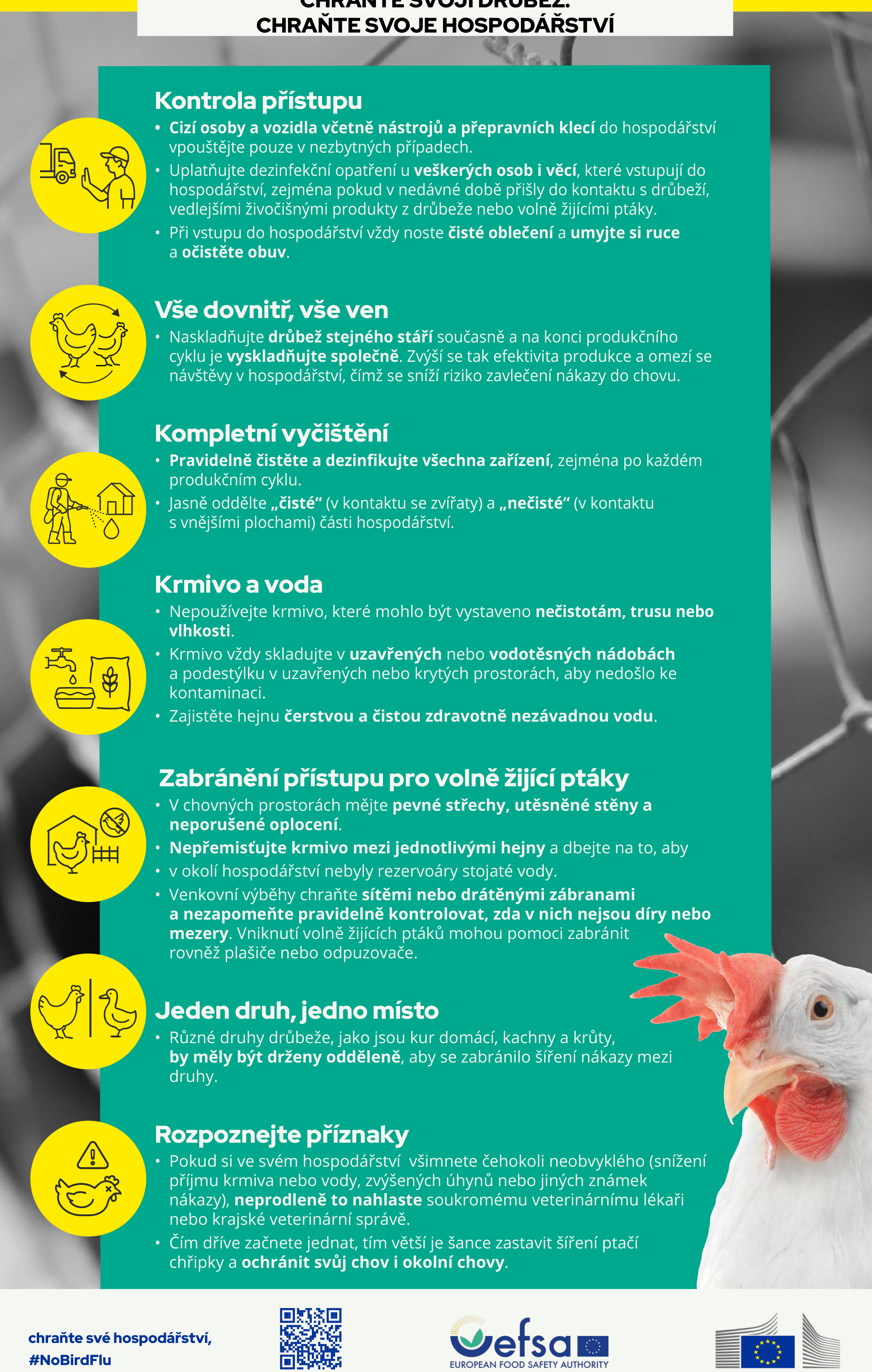 Informační leták 'CHRAŇTE SVOU DRŮBEŽ. CHRAŇTE SVOJE HOSPODÁŘSTVÍ' s pokyny pro prevenci ptačí chřipky: 1. Kontrola přístupu: omezit vstup cizích osob a vozidel, dezinfekce, čisté oblečení a obuv. 2. Vše dovnitř, vše ven: naskladňovat drůbež stejného stáří. 3. Kompletní vyčištění: pravidelná dezinfekce, oddělení čistých a nečistých částí. 4. Krmivo a voda: skladovat v uzavřených nádobách, zajistit nezávadnou vodu. 5. Zabránění přístupu pro volně žijící ptáky: pevné střechy, sítě, kontrola děr. 6. Jeden druh, jedno místo: držet různé druhy drůbeže odděleně. 7. Rozpoznejte příznaky: při neobvyklých úhynech ihned hlásit veterináři. Hashtag #NoBirdFlu, logo EFSA a EU.