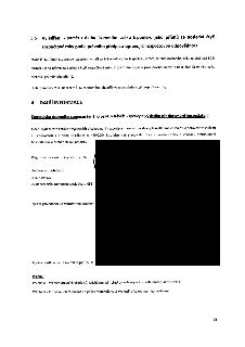 Dokument obsahuje dvě sekce: 3.5 Vyjádření k poměru dluhu územního celku k příjmům za poslední čtyři rozpočtové roky podle zákona č. 420/2004 Sb. (dluh nepřekr…