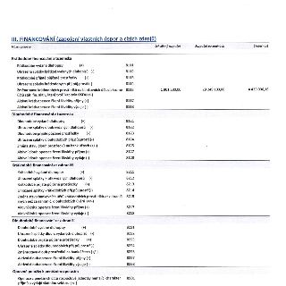 Tabulka 'III. FINANCOVÁNÍ (zapojení vlastních úspor a cizích zdrojů)' obsahující rozpočtové položky. Sloupce: Název položky, Schválený rozpočet, Rozpočet po zm…