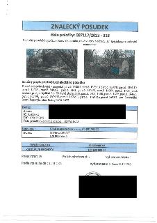Znalecký posudek č. 087117/2023 - 318 v oboru ekonomika, odvětví ceny a odhady, specializace oceňování nemovitostí. Předmět: pozemky parc.č. 1388/2, 1393/13, 1…