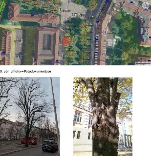Dokument obsahuje situační mapu s vyznačenými stromy (zelené kruhy) a parcelními čísly (např. 550/1, 570, 579/1, 2 340 000, 2 320 014, NN1367). Jeden ze stromů…