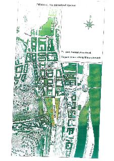 Situační plán s názvem 'Příloha č. 1 k důvodové zprávě'. Mapa zobrazuje lokalitu s vyznačenými parky: P1 park Hannah Arendtové a P2 park Alice a Anny Masarykov…