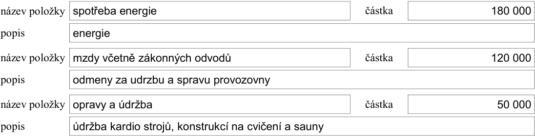 Tabulka s přehledem nákladových položek: 1. název položky: spotřeba energie, částka: 180 000, popis: energie. 2. název položky: mzdy včetně zákonných odvodů, částka: 120 000, popis: odměny za udrzbu a spravu provozovny. 3. název položky: opravy a údržba, částka: 50 000, popis: údržba kardio strojů, konstrukcí na cvičení a sauny.