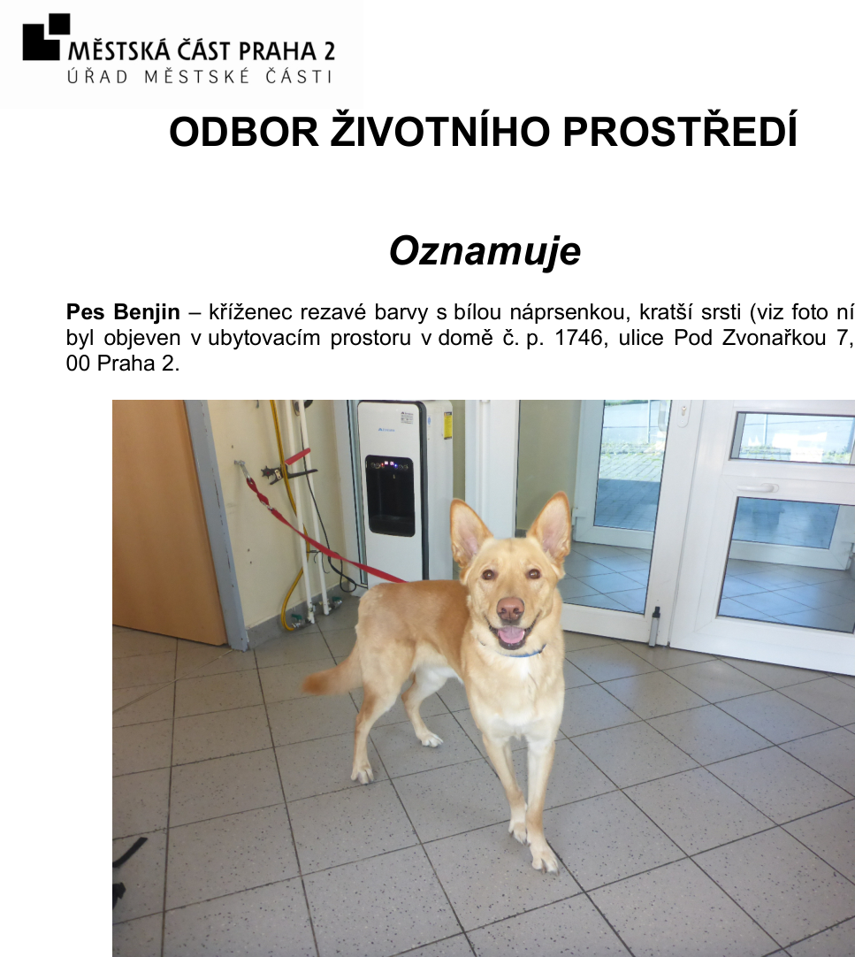 Oznámení Městské části Praha 2, Odbor životního prostředí. Předmět: Pes Benjin – kříženec rezavé barvy s bílou náprsenkou, kratší srsti. Byl nalezen v ubytovacím prostoru v domě č. p. 1746, ulice Pod Zvonařkou 7, 120 00 Praha 2.