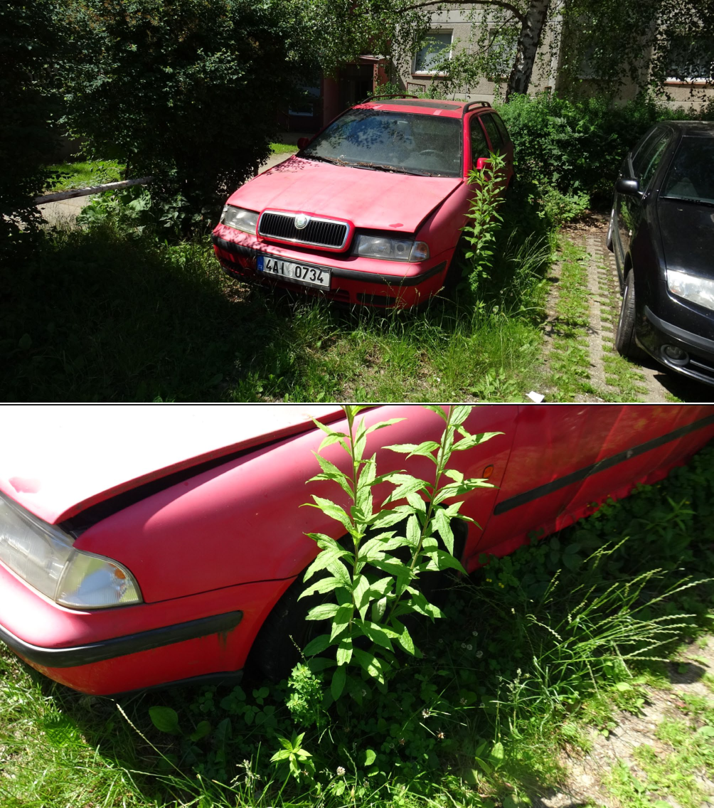 Fotografie opuštěného červeného osobního automobilu značky Škoda (model Octavia první generace, verze kombi) zaparkovaného v trávě u budovy. Na registrační značce je čitelný text: 4A1 0734.