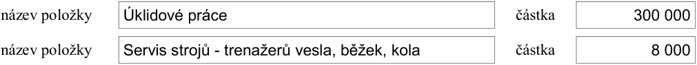 Tabulka s položkami rozpočtu: 1. název položky: Úklidové práce, částka: 300 000. 2. název položky: Servis strojů - trenažérů vesla, běžek, kola, částka: 8 000.