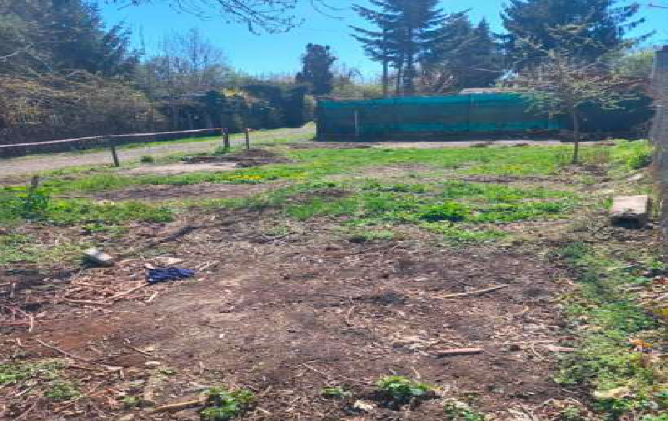 Fotografie pozemku, pravděpodobně dotčeného stavebním řízením nebo územním plánem.