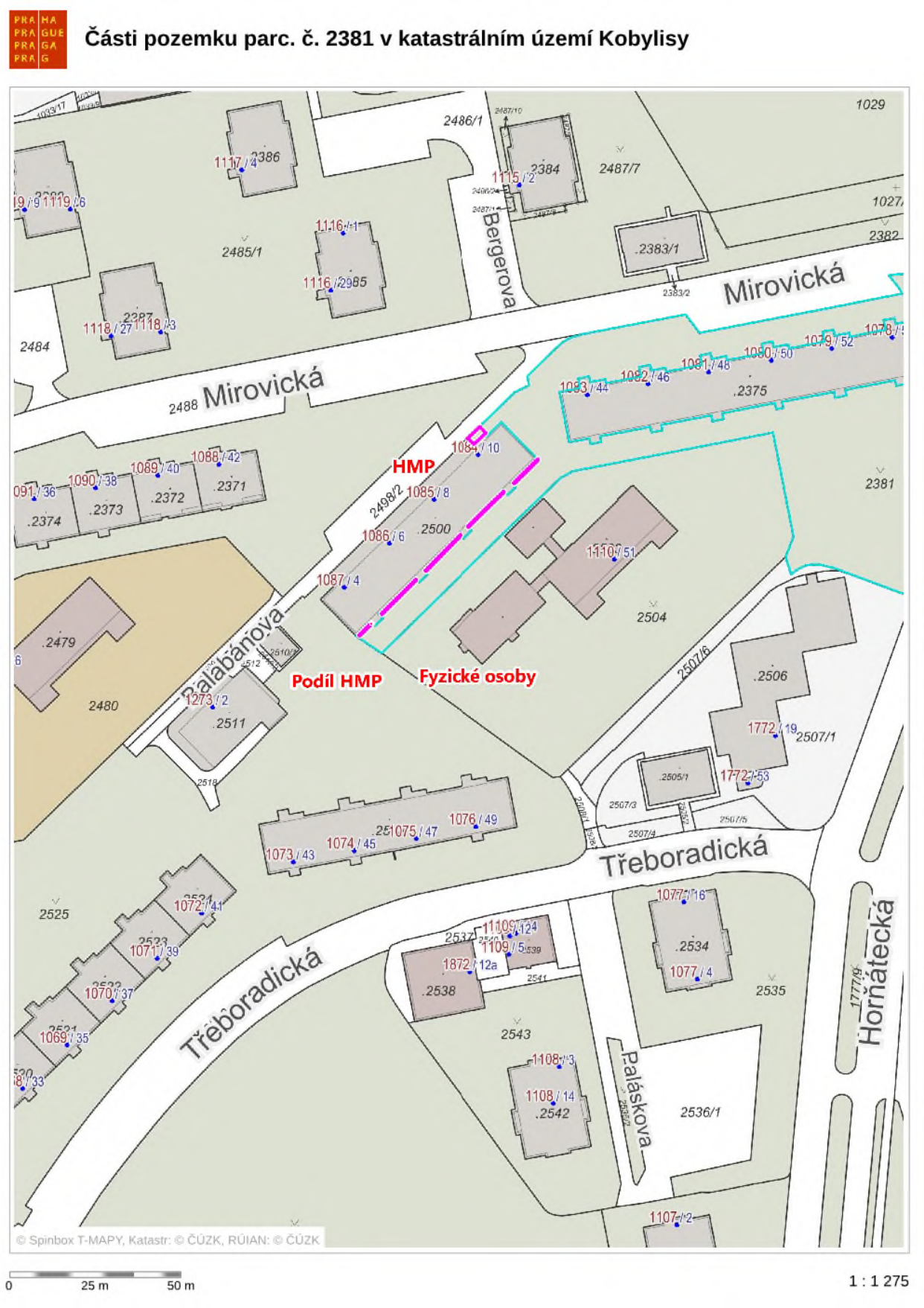 Mapa znázorňující části pozemku parc. č. 2381 v katastrálním území Kobylisy. V mapě jsou vyznačeny ulice (Mirovická, Bergerova, Balabánova, Třeboradická, Paláskova, Hornátecká) a čísla parcel. Barevně vyznačené úseky (fialová a tyrkysová čára) rozlišují vlastnictví: 'HMP' (Hlavní město Praha) a 'Podíl HMP' (fialová čára) a 'Fyzické osoby' (tyrkysová čára). V rohu je uvedeno měřítko 1:1 275 a tiráž Spinbox T-MAPY, Katastr: © ČÚZK, RÚIAN: © ČÚZK.