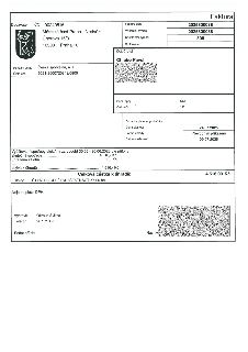 Faktura č. 2025300038, variabilní symbol 2025300038, konstantní symbol 308. Dodavatel: Městská část Praha - Nedvězí, Únorová 15/3, 10300 Praha 10, IČO: 0024051…