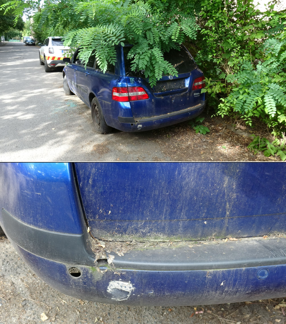 Fotografie opuštěného modrého vozidla (pravděpodobně Fiat Stilo Multi Wagon) parkujícího u krajnice, částečně zarostlého vegetací. Na zadní části vozu je viditelná nálepka 'Monster Energy' a poškozený zadní nárazník s chybějícím parkovacím senzorem a odřeným lakem. Na silnici pod vozem jsou patrné střepy skla.