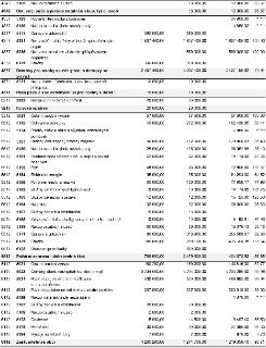 Tabulka rozpočtových položek obce. Sloupce obsahují kód, název položky, rozpočtované částky a čerpání. Obsah: 4349 5169 Nákup ostatních služeb 18 000,00 / 12 0…
